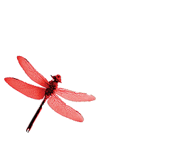 Bud Twilley Landscapes